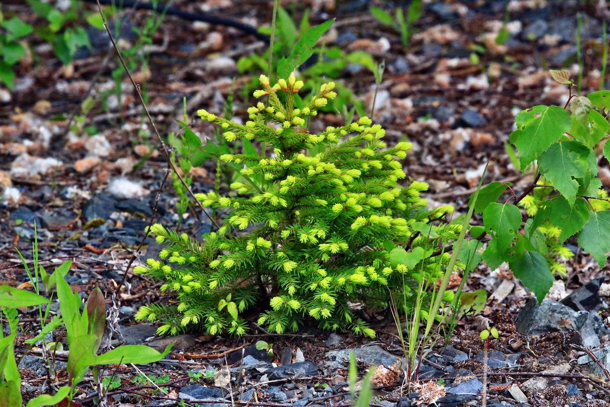 2013_06_09_00020319_Bildgr��e �ndern