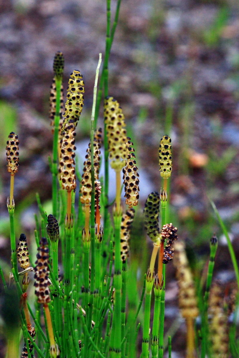 2013_06_09_00020447_Bildgr��e �ndern