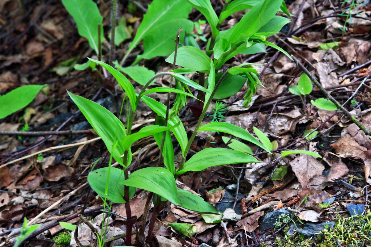 2013_06_09_00020452_Bildgr��e �ndern