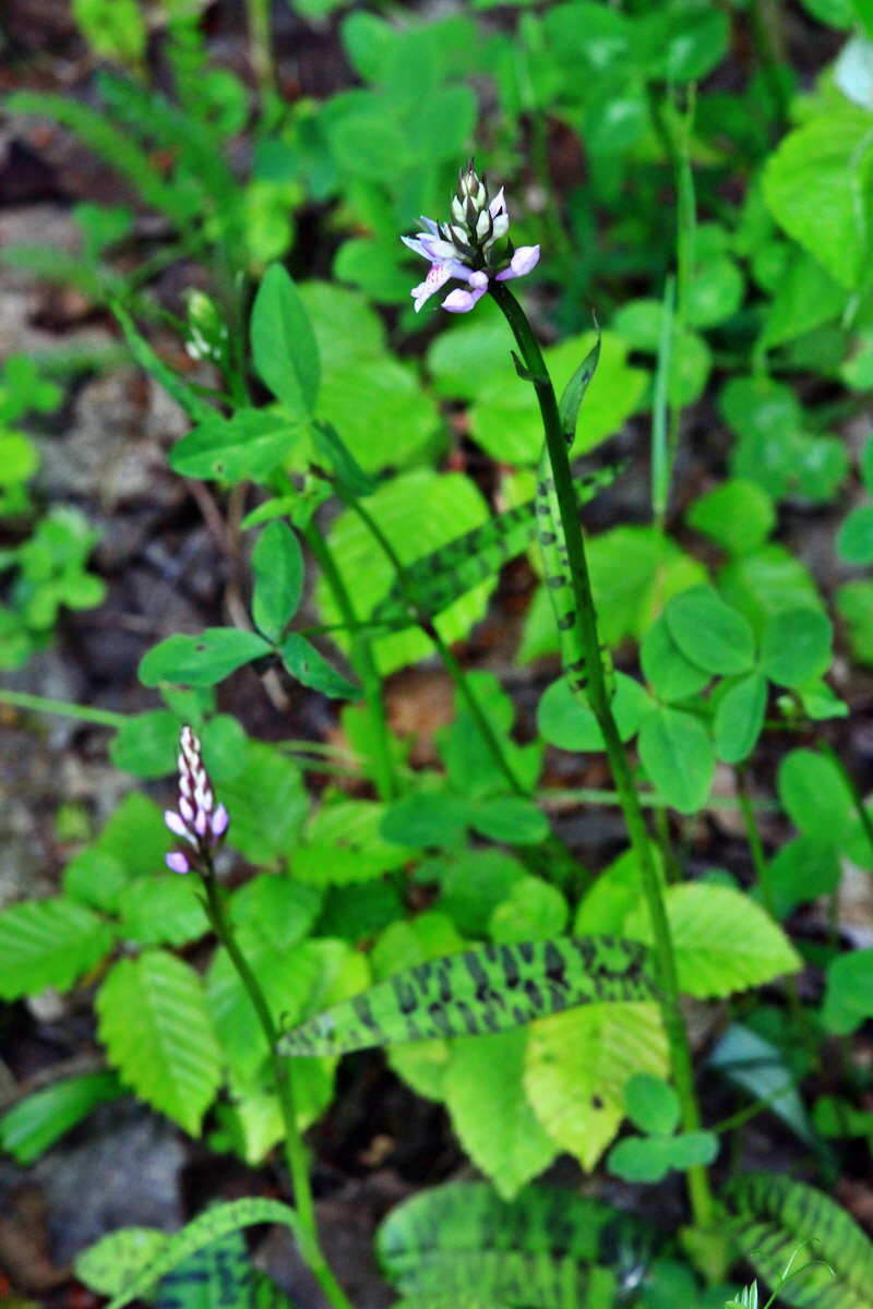 2013_06_09_00020476_Bildgr��e �ndern