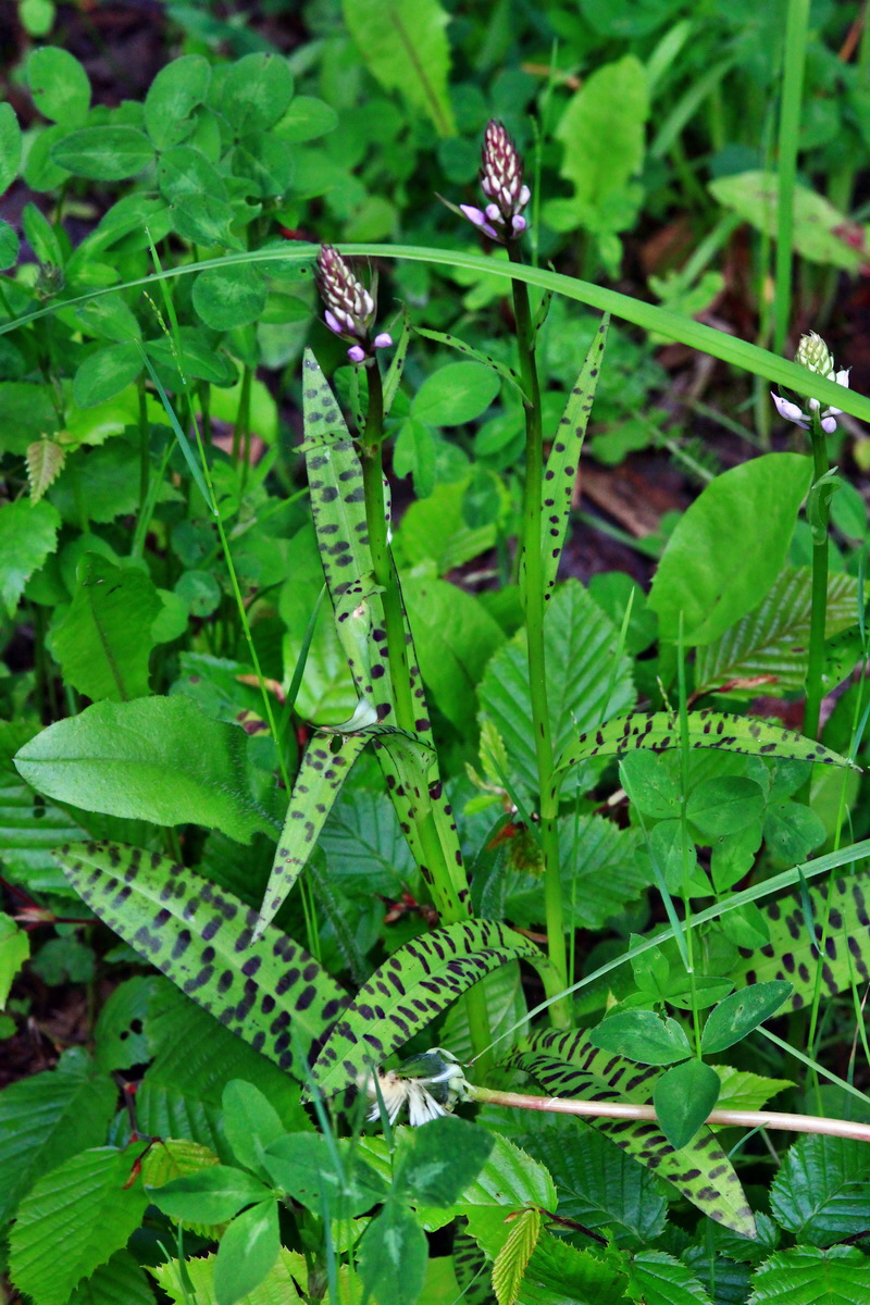 2013_06_09_00020480_Bildgr��e �ndern