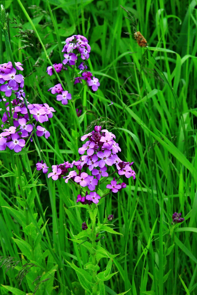 2013_06_09_00020547_Bildgr��e �ndern