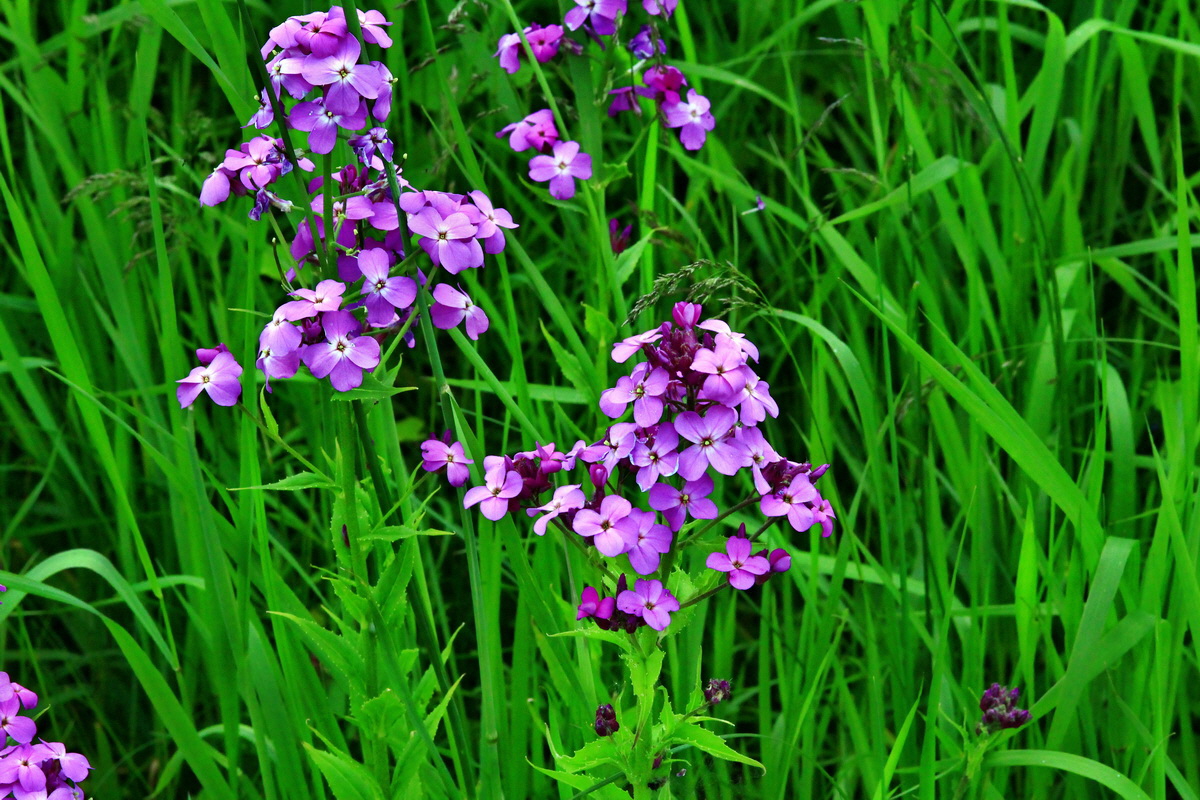 2013_06_09_00020555_Bildgr��e �ndern