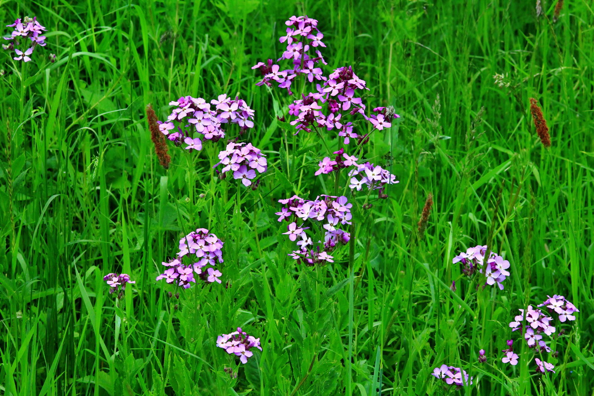 2013_06_09_00020562_Bildgr��e �ndern