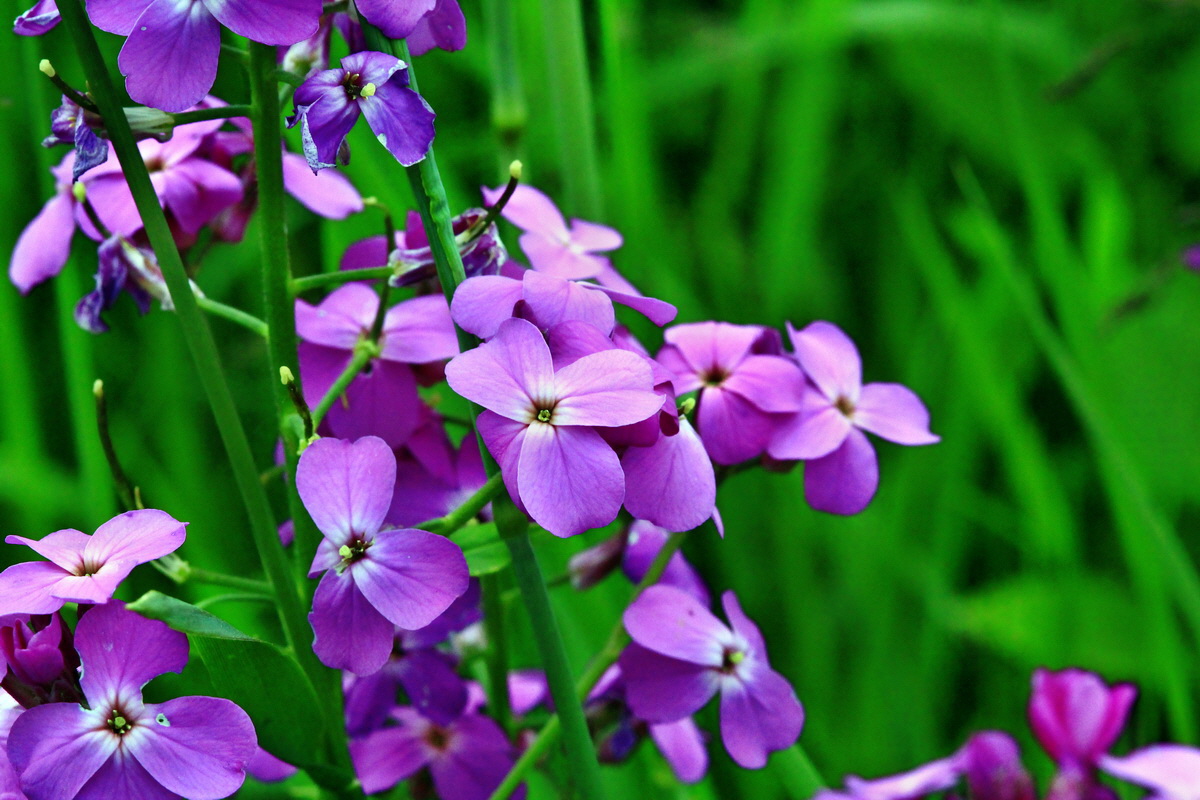 2013_06_09_00020564_Bildgr��e �ndern