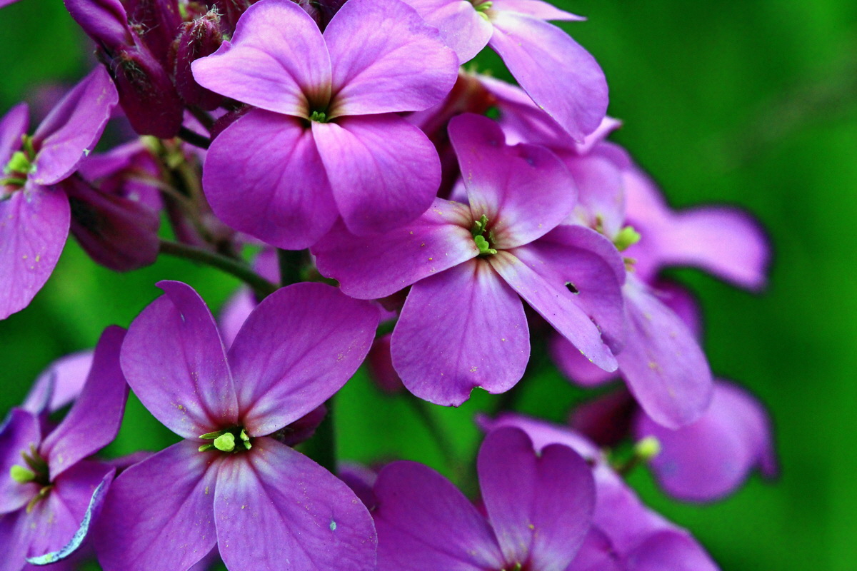 2013_06_09_00020566_Bildgr��e �ndern