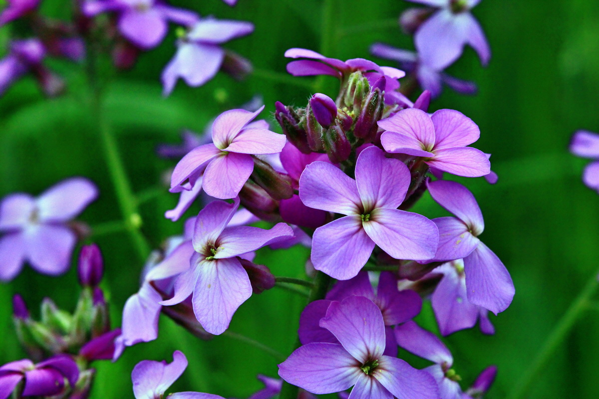 2013_06_09_00020570_Bildgr��e �ndern