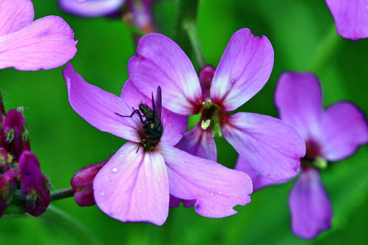 2013_06_09_00020579_Bildgr��e �ndern