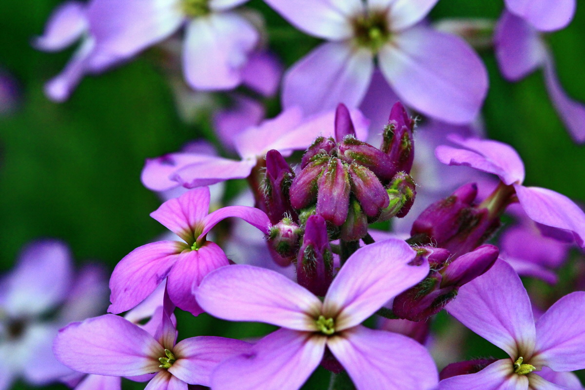 2013_06_09_00020587_Bildgr��e �ndern