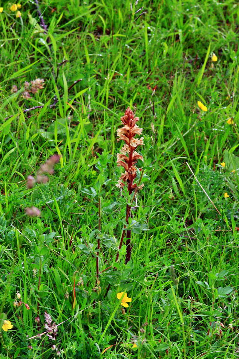 2013_06_10_00020605_Bildgr��e �ndern