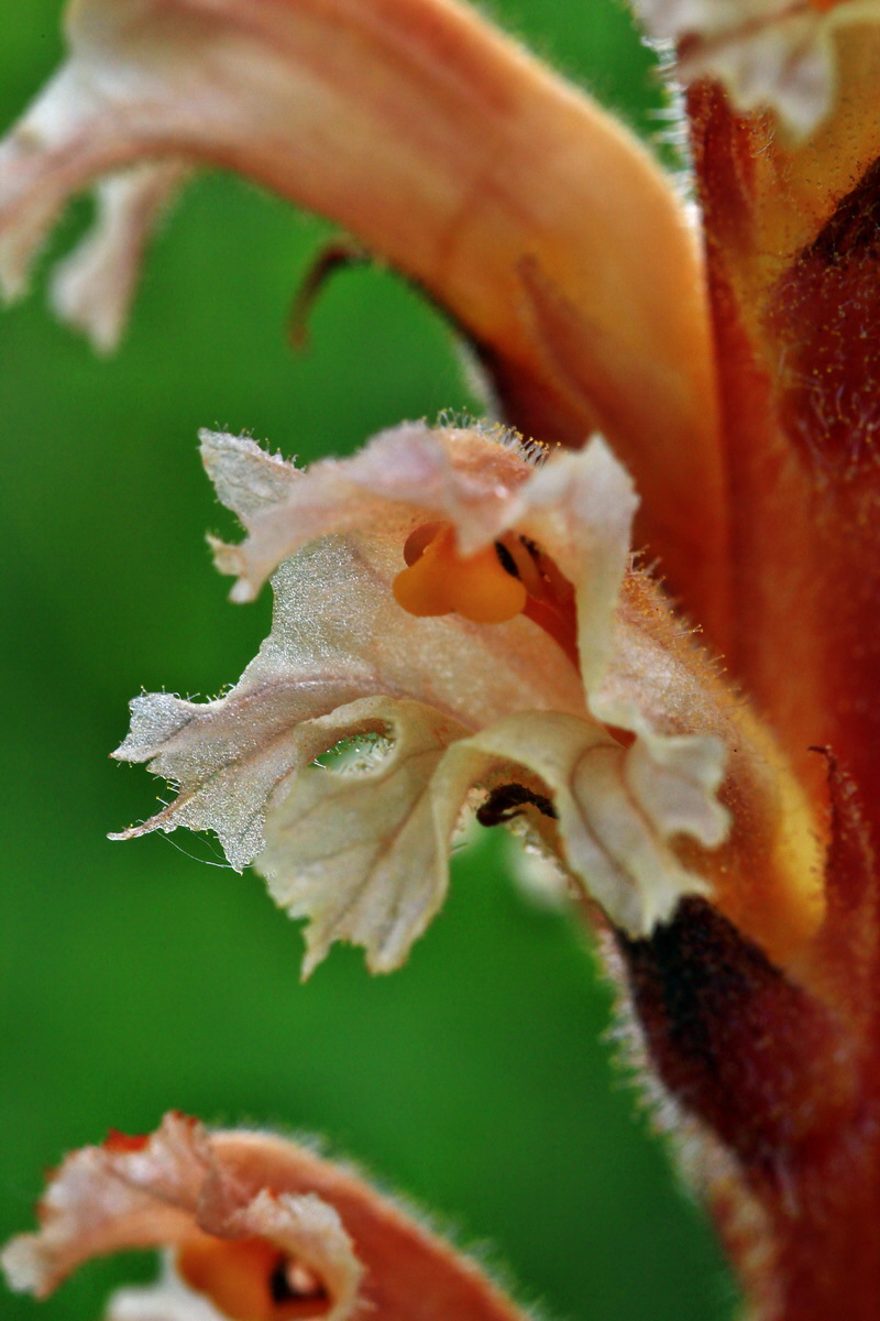 2013_06_10_00020613_Bildgr��e �ndern