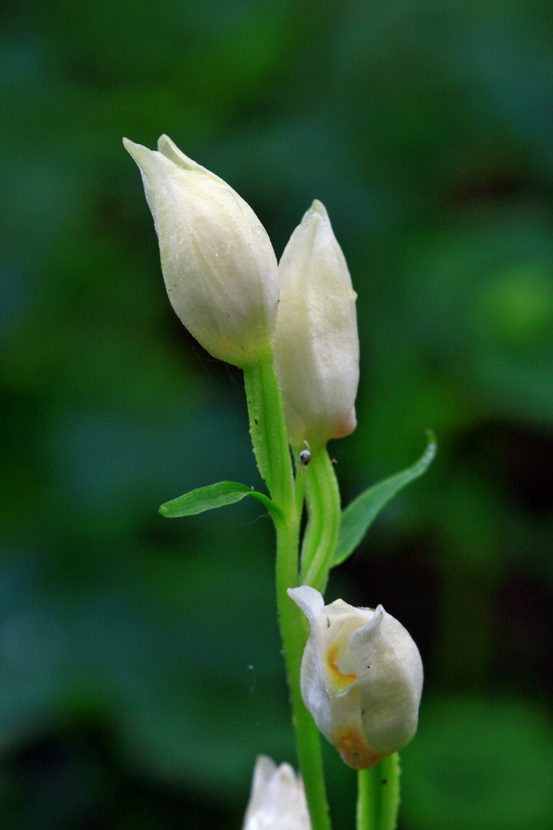 2013_06_10_00020632_Bildgr��e �ndern