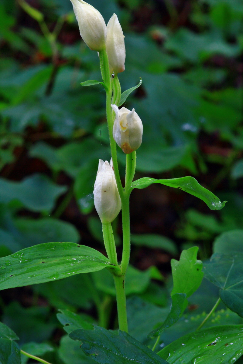 2013_06_10_00020638_Bildgr��e �ndern