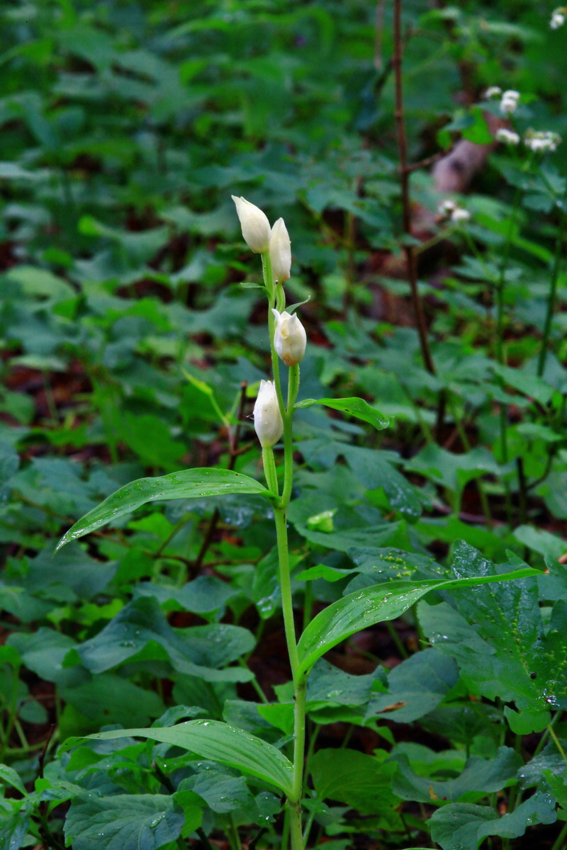 2013_06_10_00020643_Bildgr��e �ndern