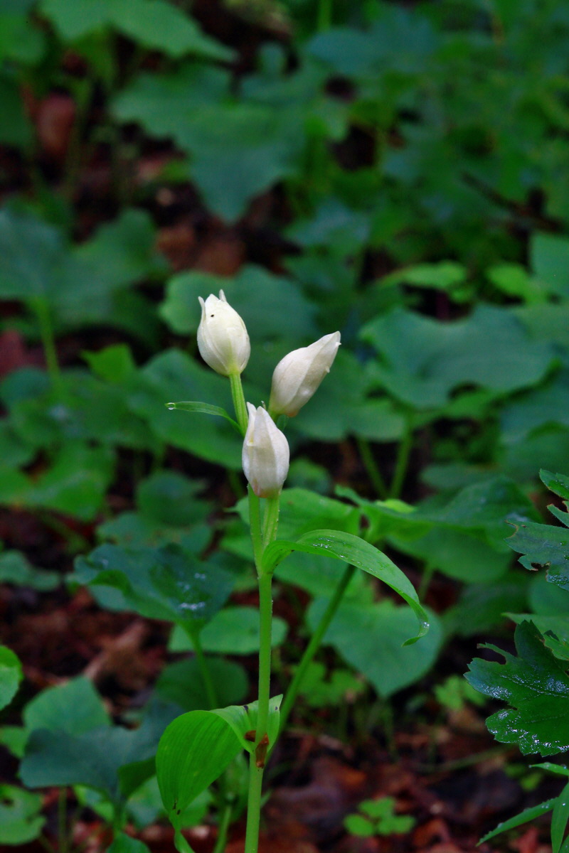 2013_06_10_00020649_Bildgr��e �ndern