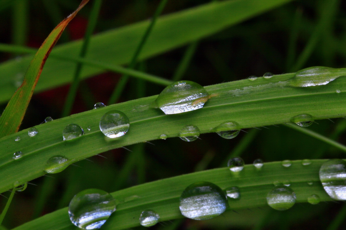 2013_06_10_00020680_Bildgr��e �ndern