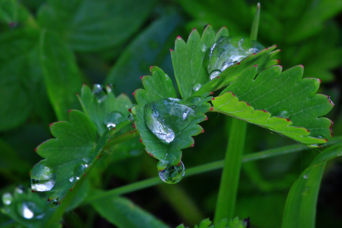 2013_06_10_00020690_Bildgr��e �ndern