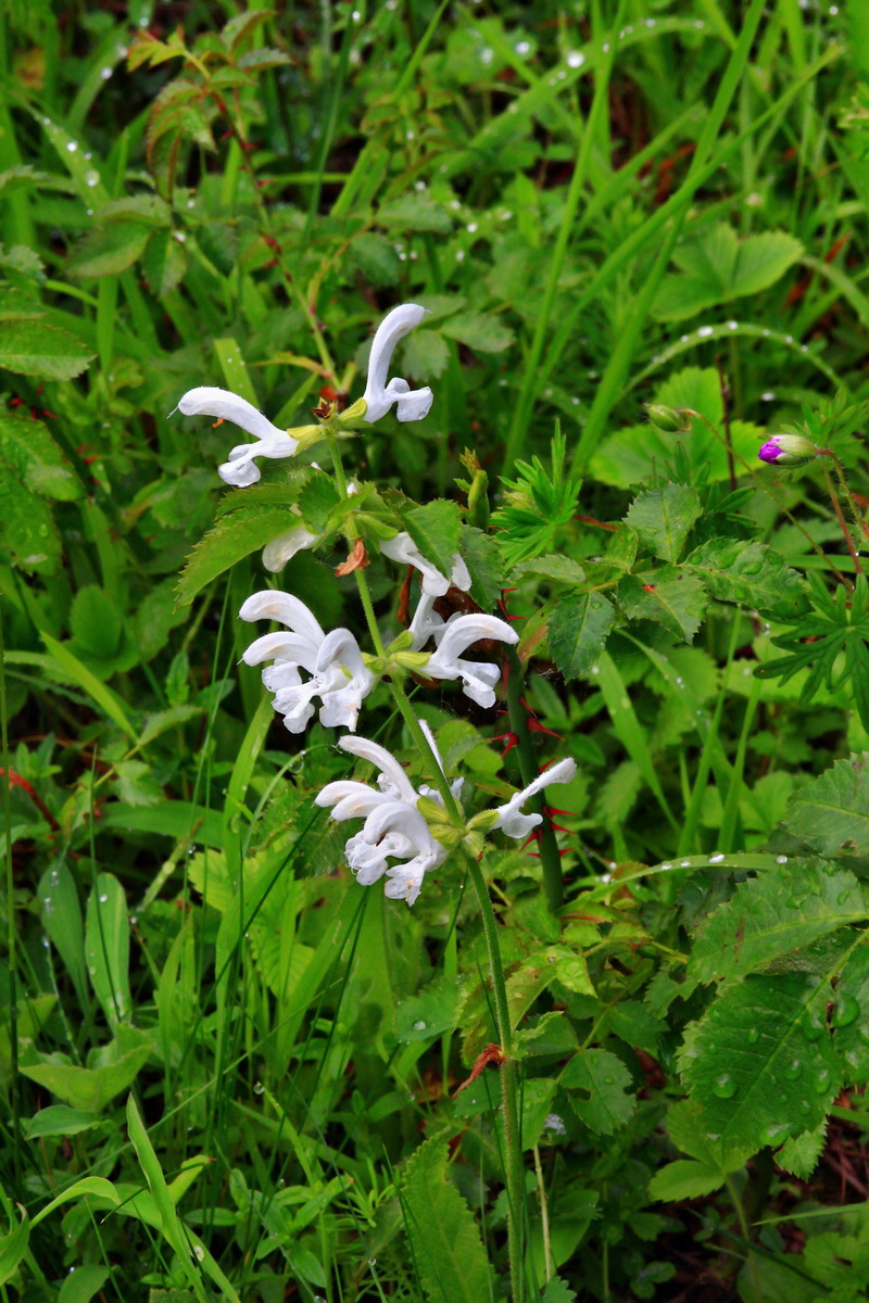 2013_06_10_00020698_Bildgr��e �ndern