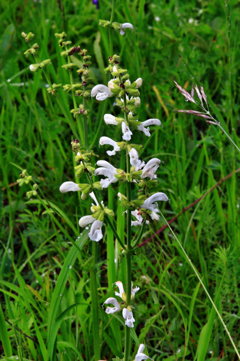 2013_06_10_00020703_Bildgr��e �ndern