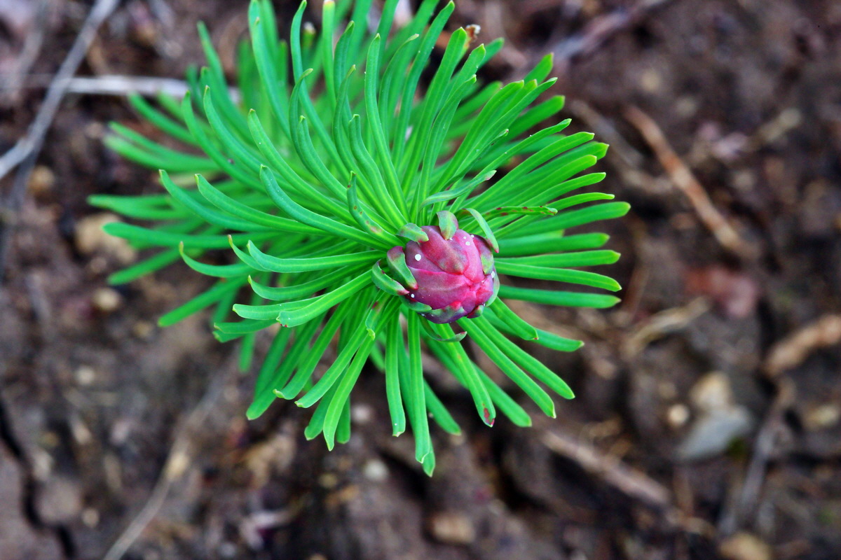 2013_06_10_00020723_Bildgr��e �ndern