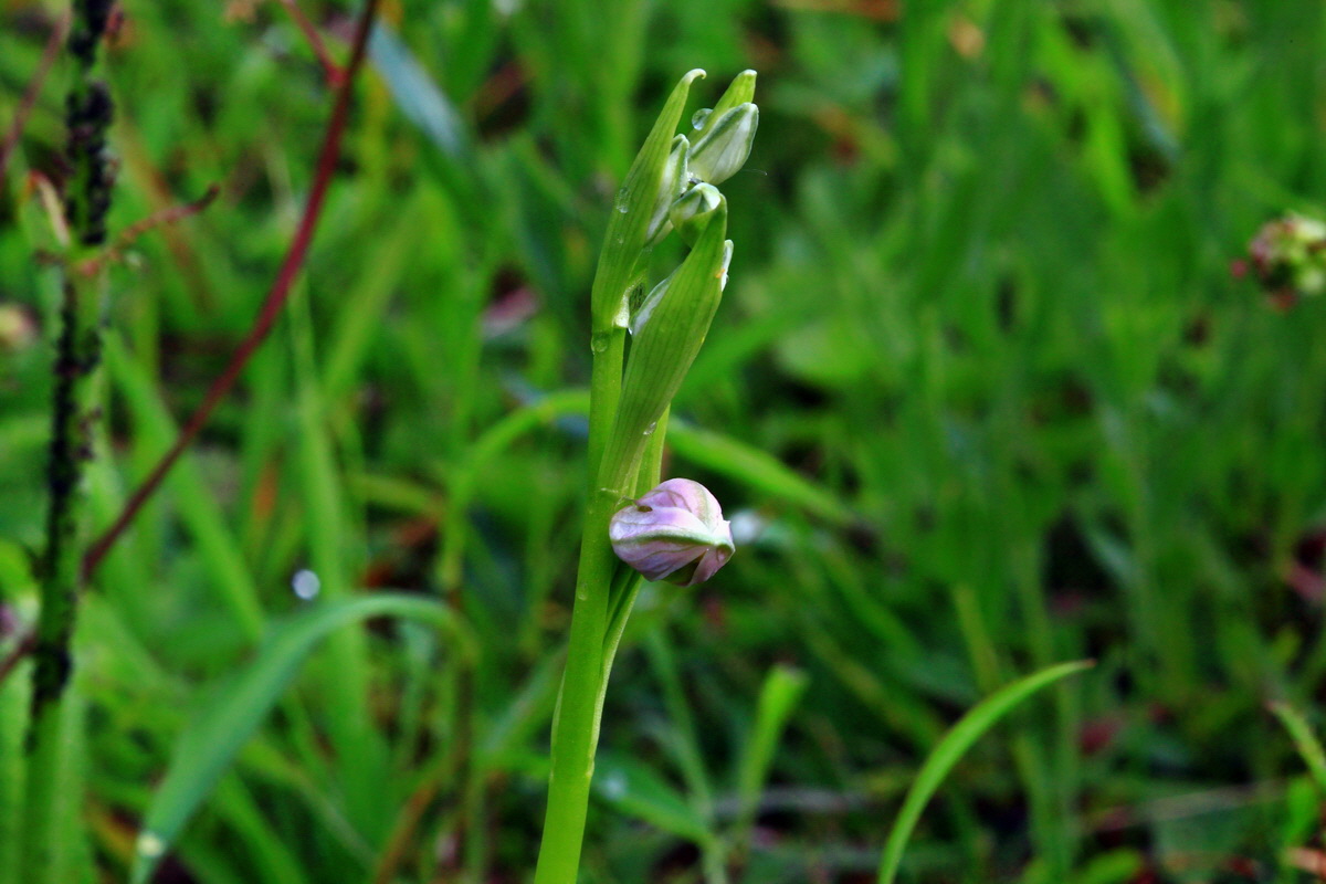 2013_06_10_00020728_Bildgr��e �ndern