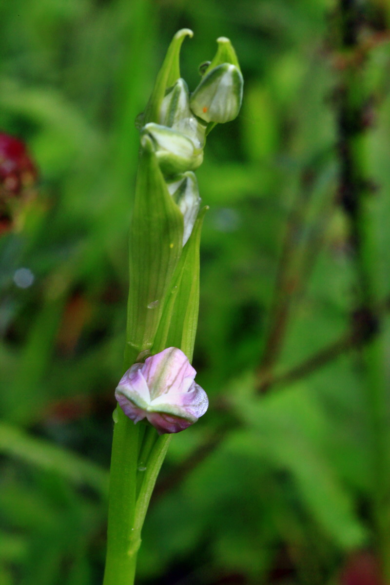 2013_06_10_00020743_Bildgr��e �ndern