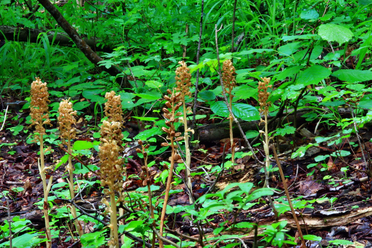 2013_06_10_00020760_Bildgr��e �ndern