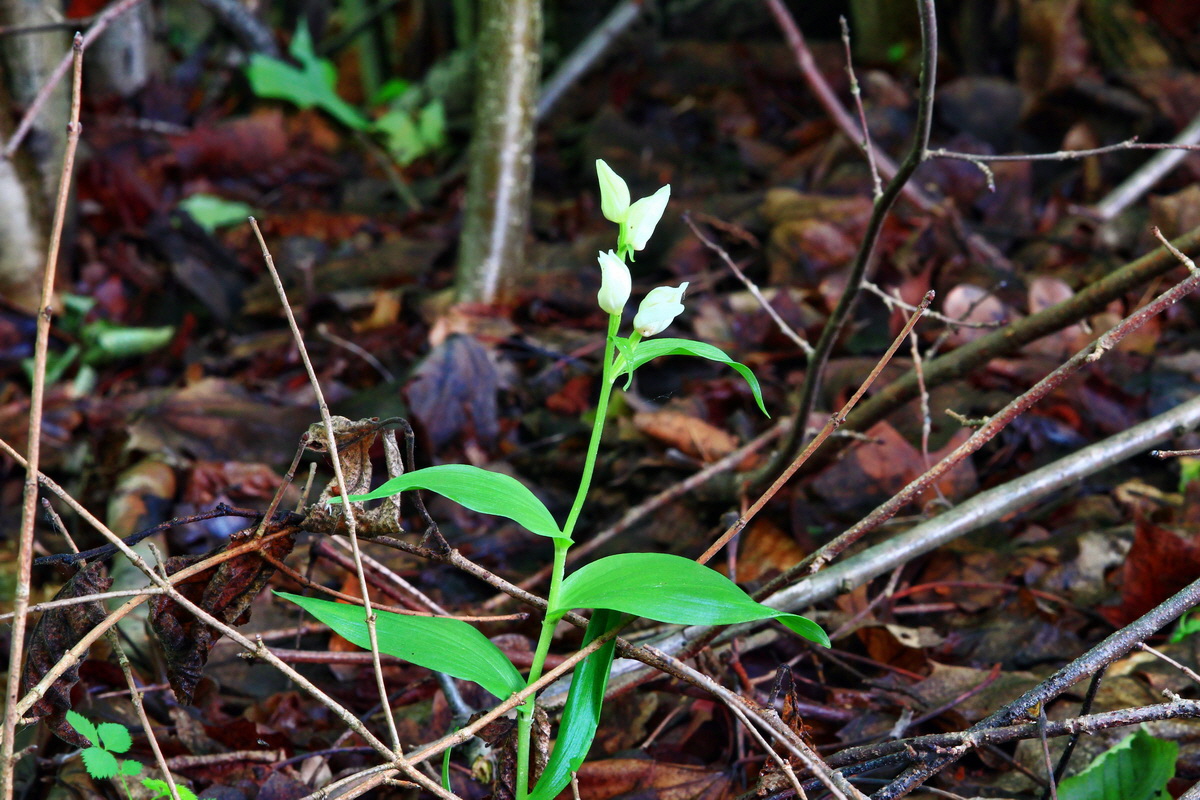 2013_06_10_00020774_Bildgr��e �ndern