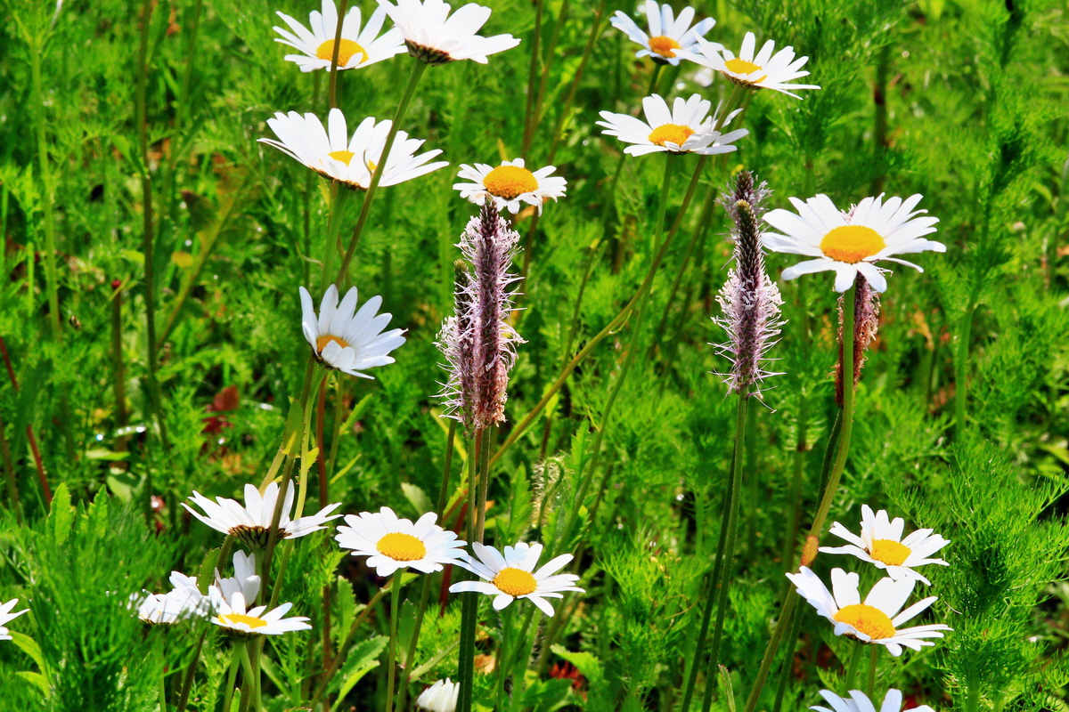 2013_06_10_00020805_Bildgr��e �ndern