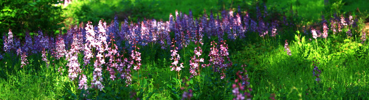 [Group 17]-2013_06_12_00021063_2013_06_12_00021081-3 images_Bildgr��e �ndern