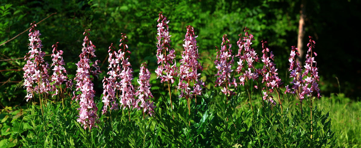 [Group 5]-2013_06_12_00021102_2013_06_12_00021120-10 images_Bildgr��e �ndern