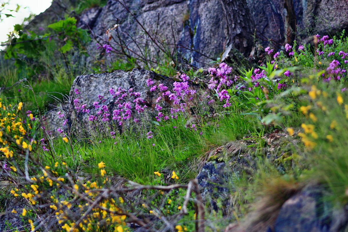 2013_06_11_00020834_Bildgr��e �ndern