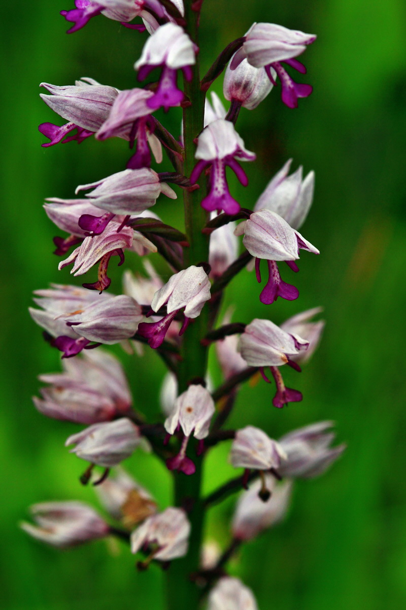 2013_06_11_00020859_Bildgr��e �ndern