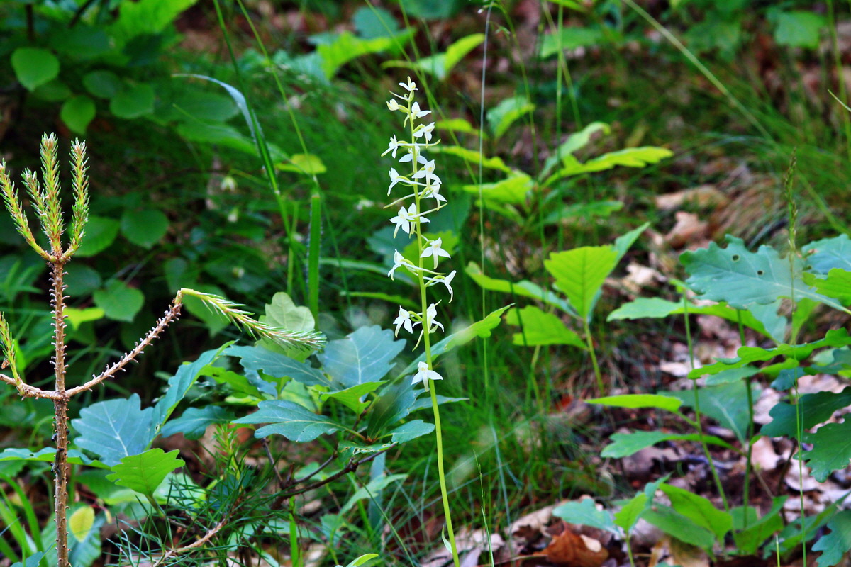 2013_06_12_00020894_Bildgr��e �ndern