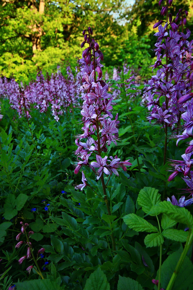 2013_06_12_00020982_Bildgr��e �ndern