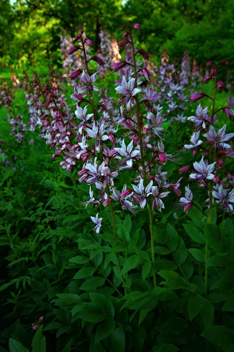 2013_06_12_00020986_Bildgr��e �ndern