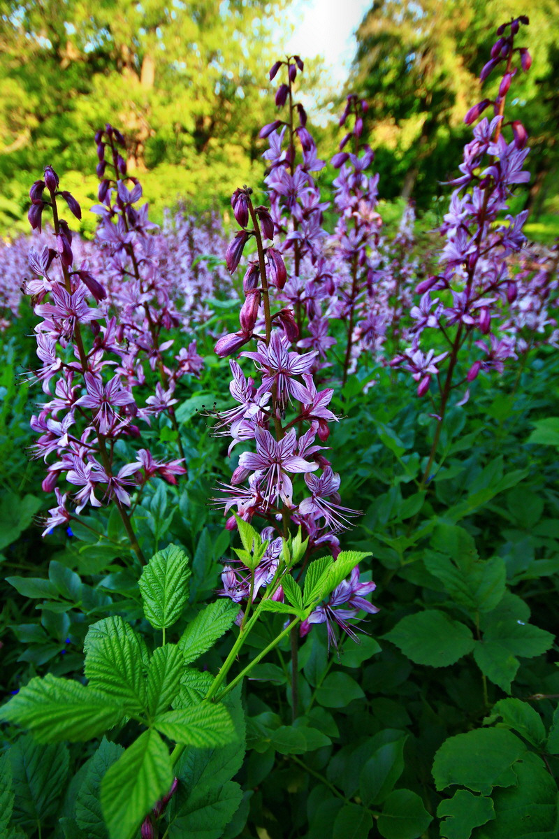 2013_06_12_00020992_Bildgr��e �ndern