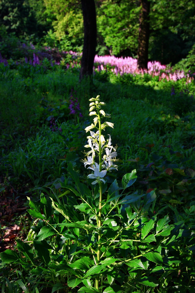 2013_06_12_00021021_Bildgr��e �ndern