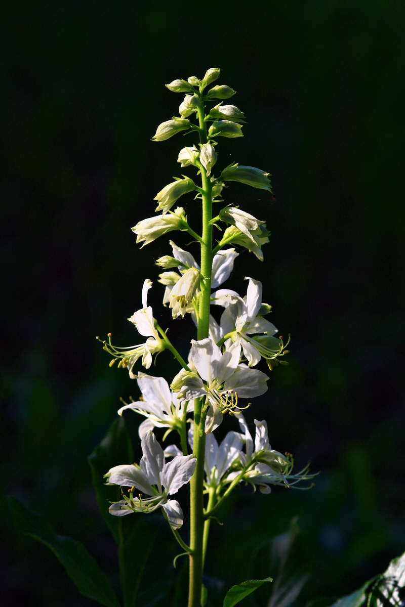 2013_06_12_00021030_Bildgr��e �ndern