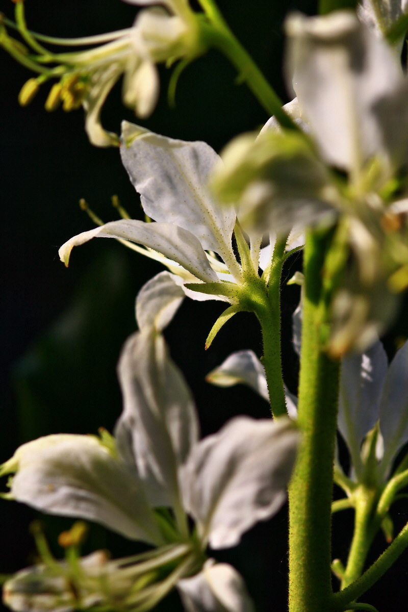 2013_06_12_00021034_Bildgr��e �ndern