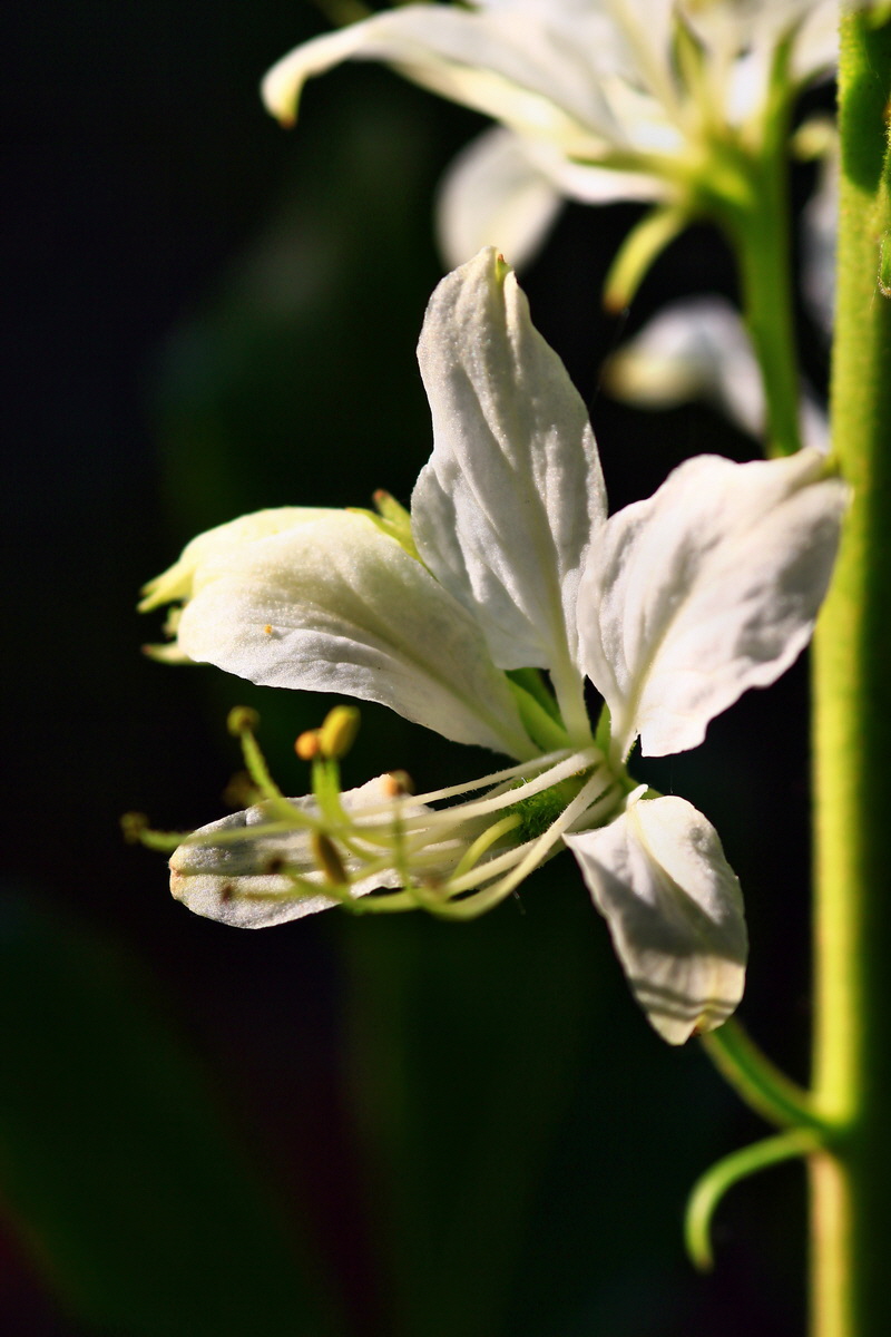 2013_06_12_00021036_Bildgr��e �ndern