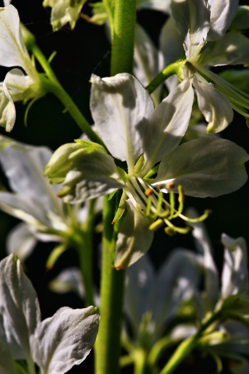 2013_06_12_00021042_Bildgr��e �ndern