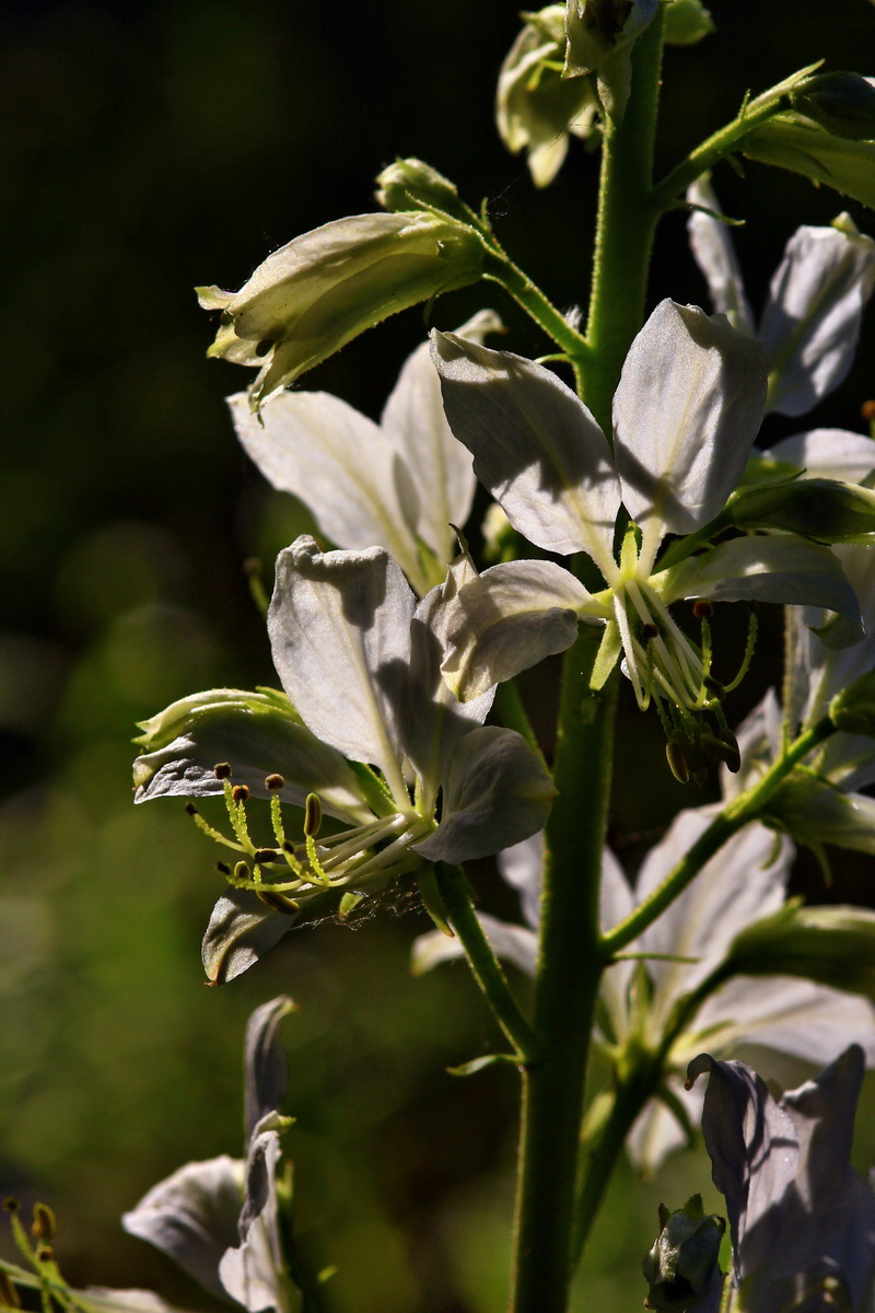 2013_06_12_00021049_Bildgr��e �ndern