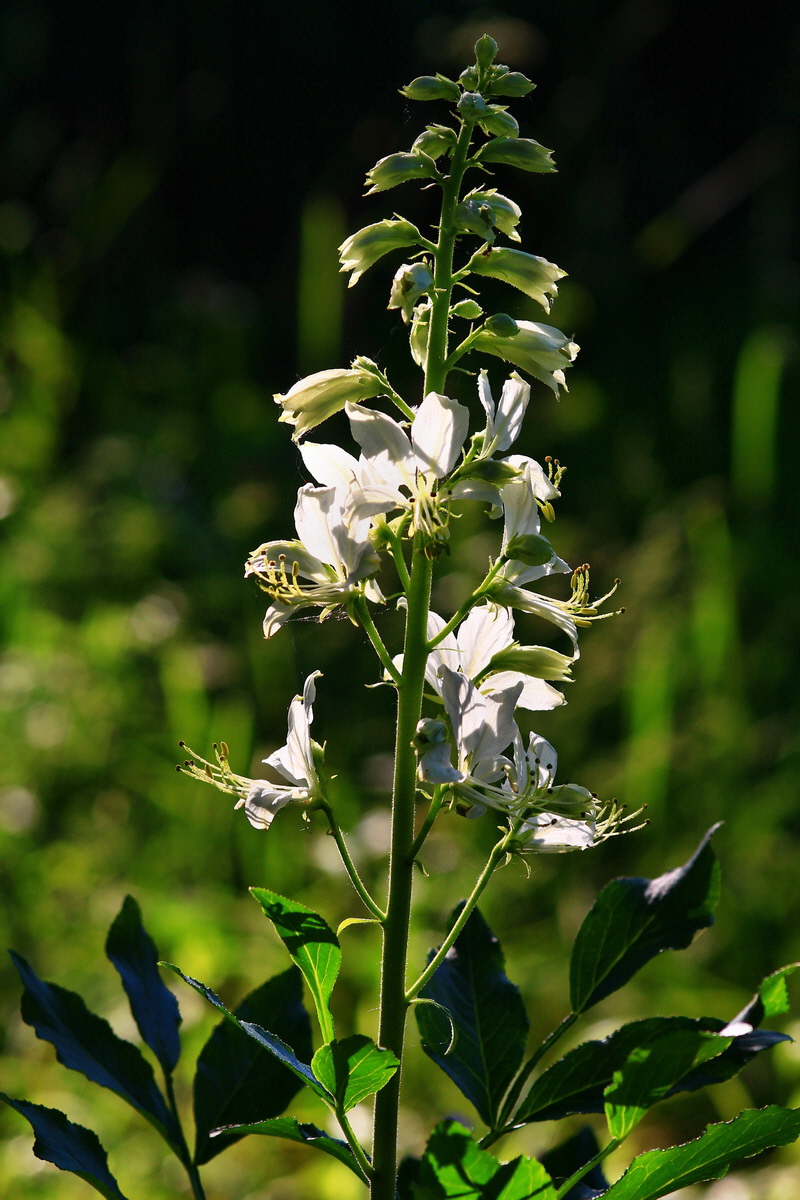 2013_06_12_00021052_Bildgr��e �ndern