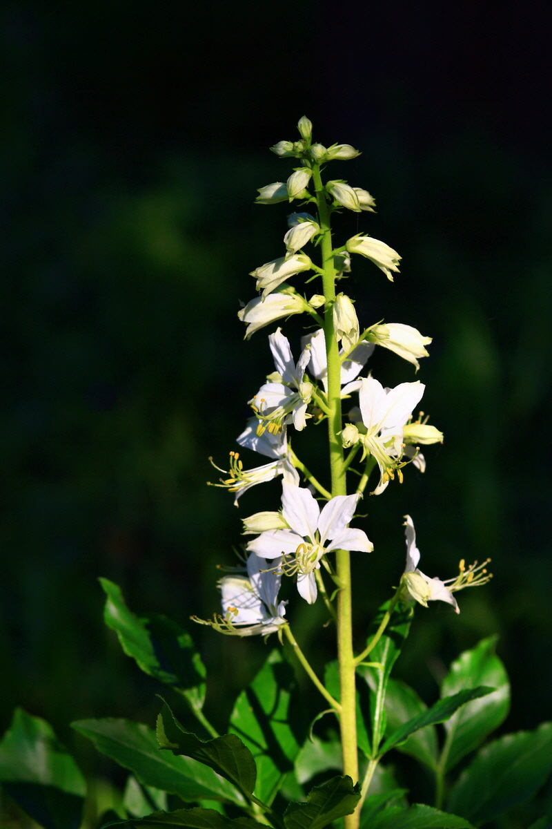 2013_06_12_00021058_Bildgr��e �ndern