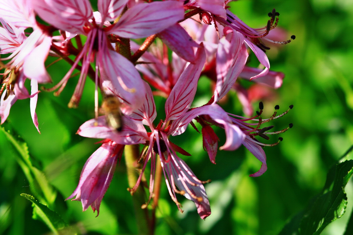 2013_06_12_00021136_Bildgr��e �ndern