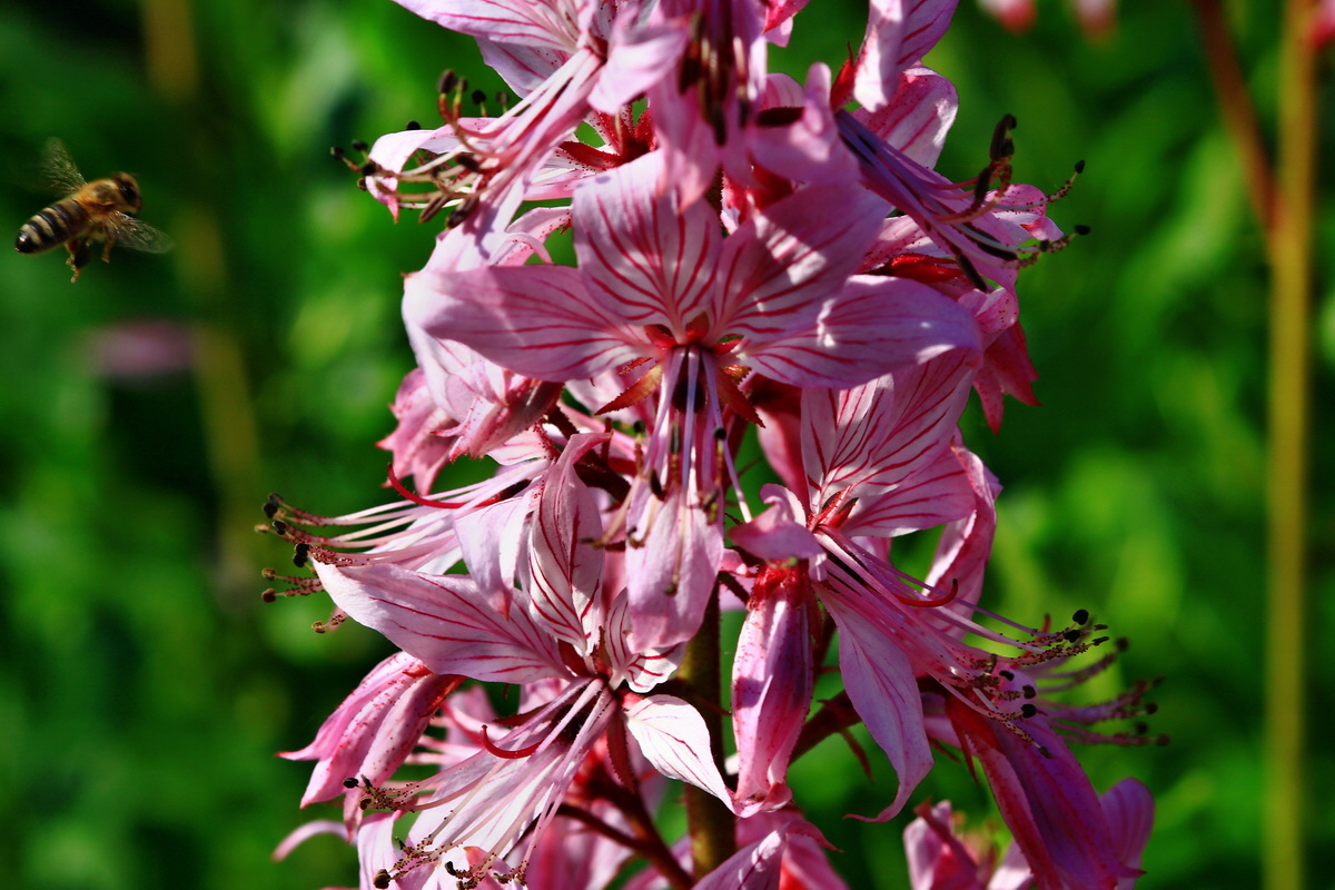 2013_06_12_00021140_Bildgr��e �ndern