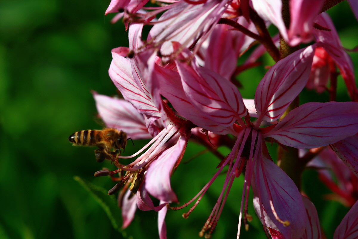 2013_06_12_00021173_Bildgr��e �ndern