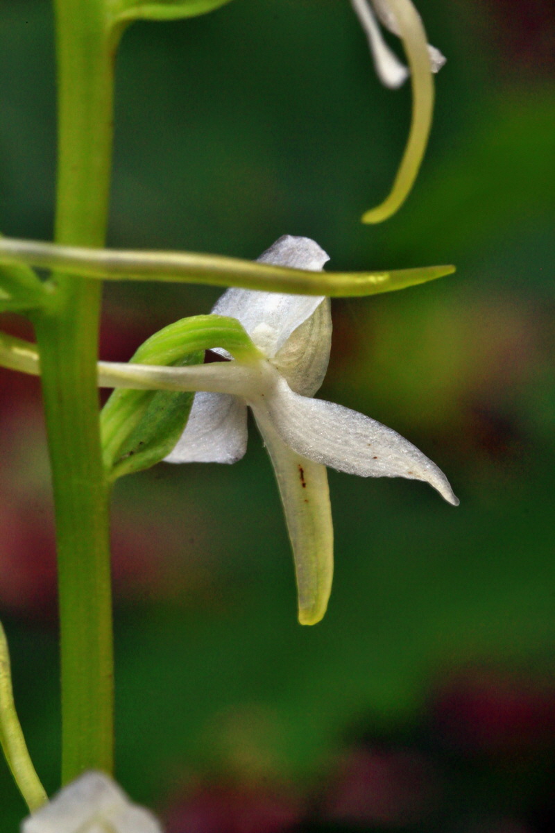 2013_06_12_00021219_Bildgr��e �ndern