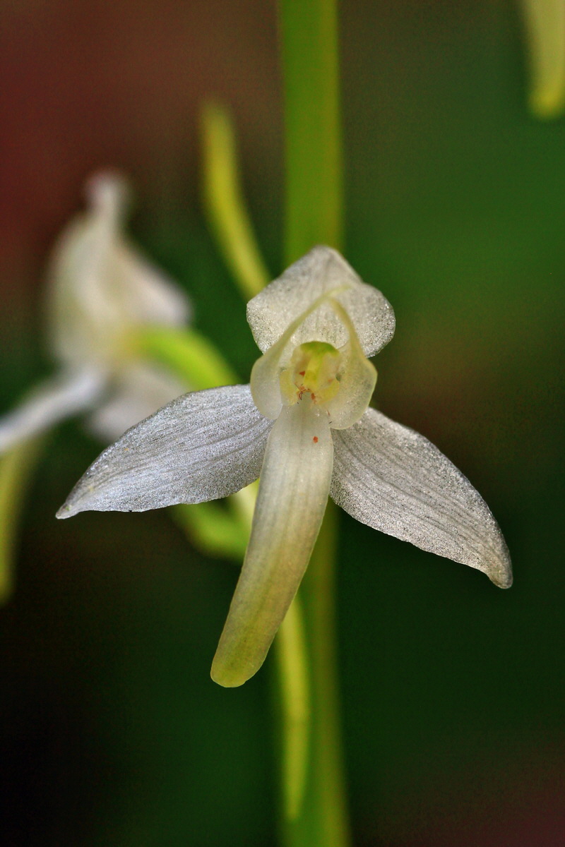 2013_06_12_00021224_Bildgr��e �ndern